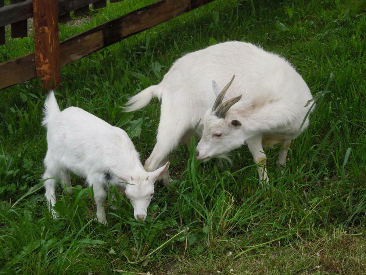 Filzerlehen Séjour à la ferme